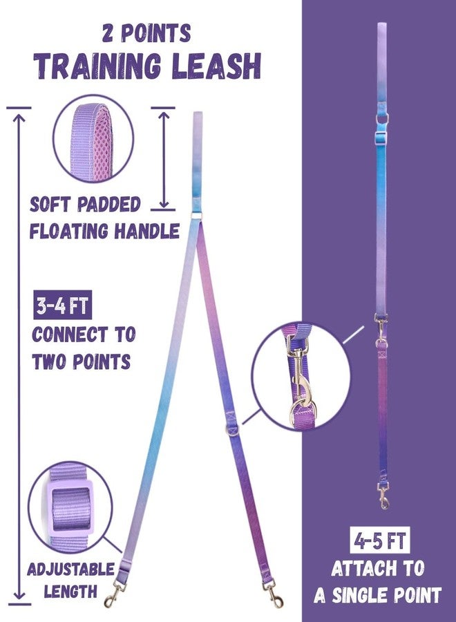 DF Freedom No Pull Martingale Dog Harness and Leash Set, Front Clip Adjustable Harness with Reflective & Padded Handle, Easy Walking & Training, Rainbow, 1", Chest 24.4" - 32.4" - Image 4